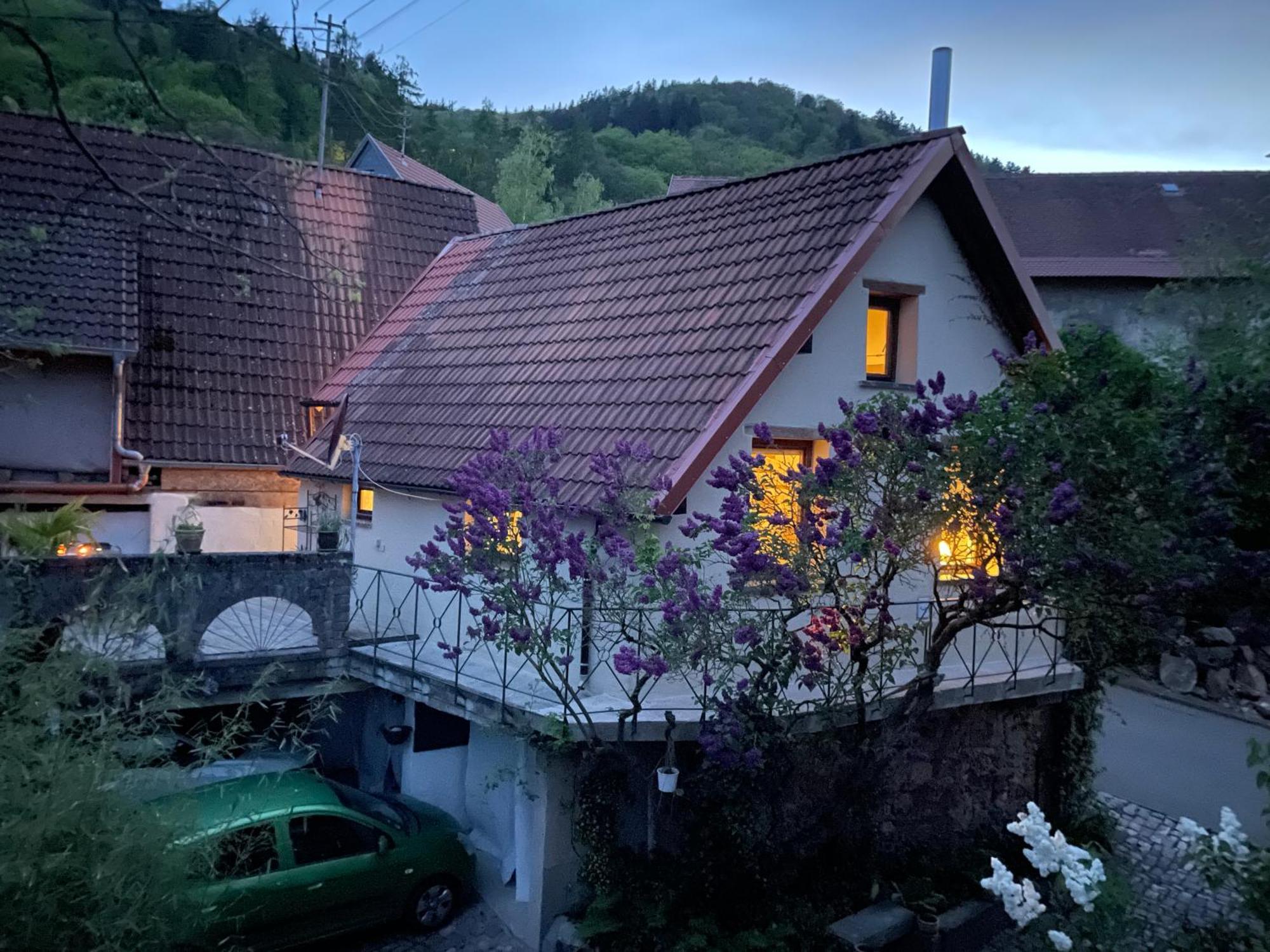 "Casita Linda "Am Donnersberg Villa Dannenfels Екстериор снимка