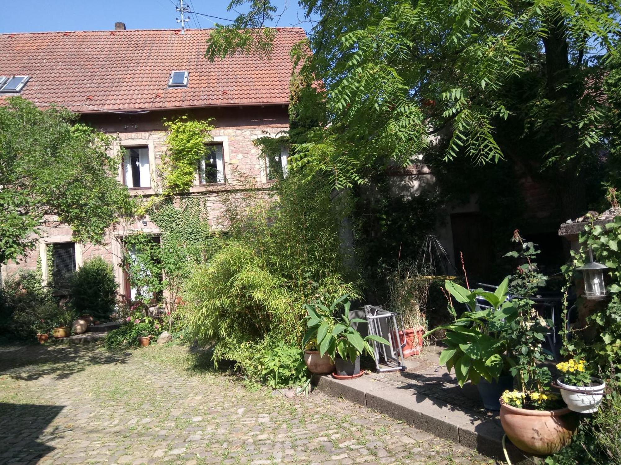 "Casita Linda "Am Donnersberg Villa Dannenfels Екстериор снимка