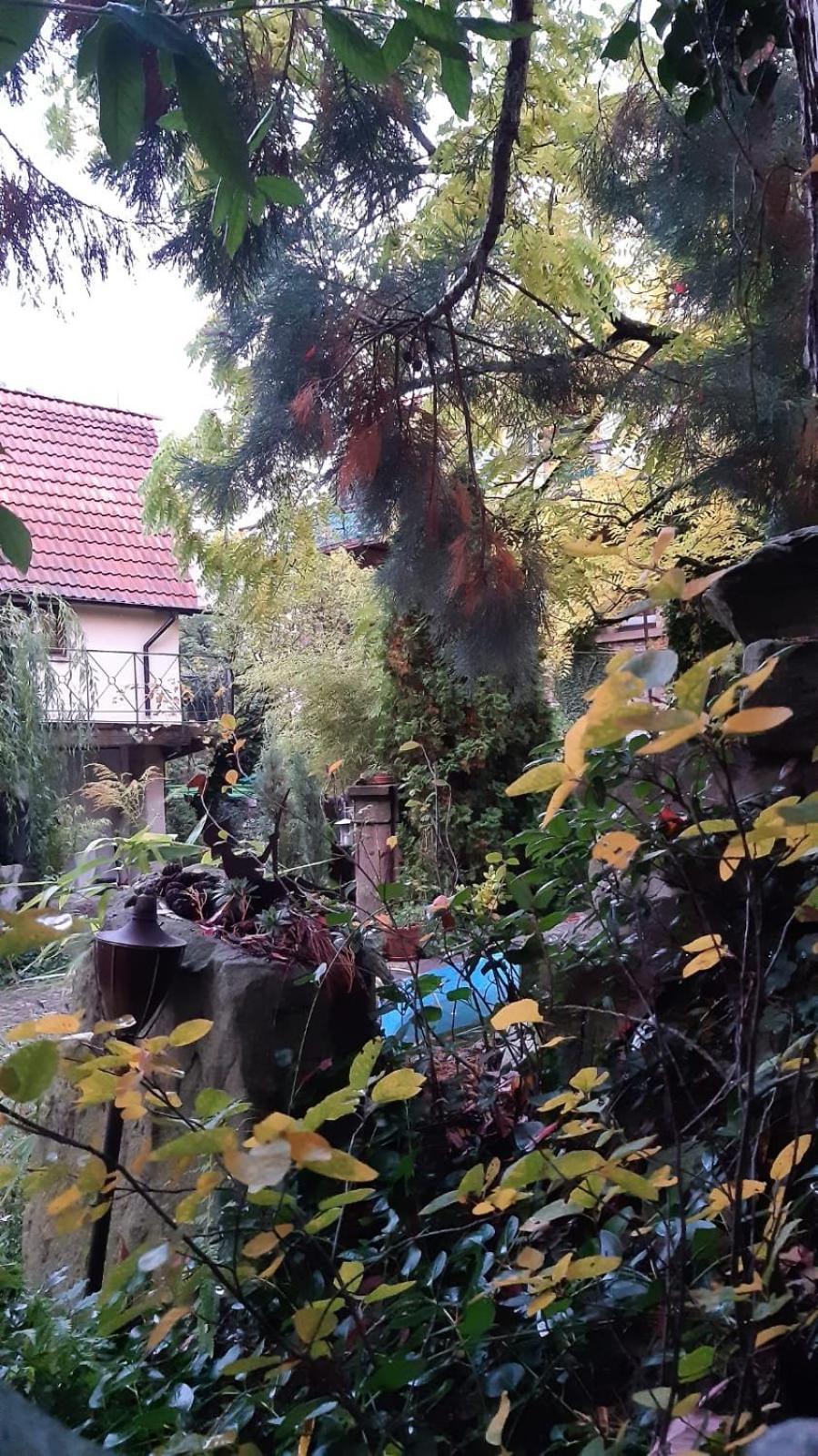 "Casita Linda "Am Donnersberg Villa Dannenfels Екстериор снимка